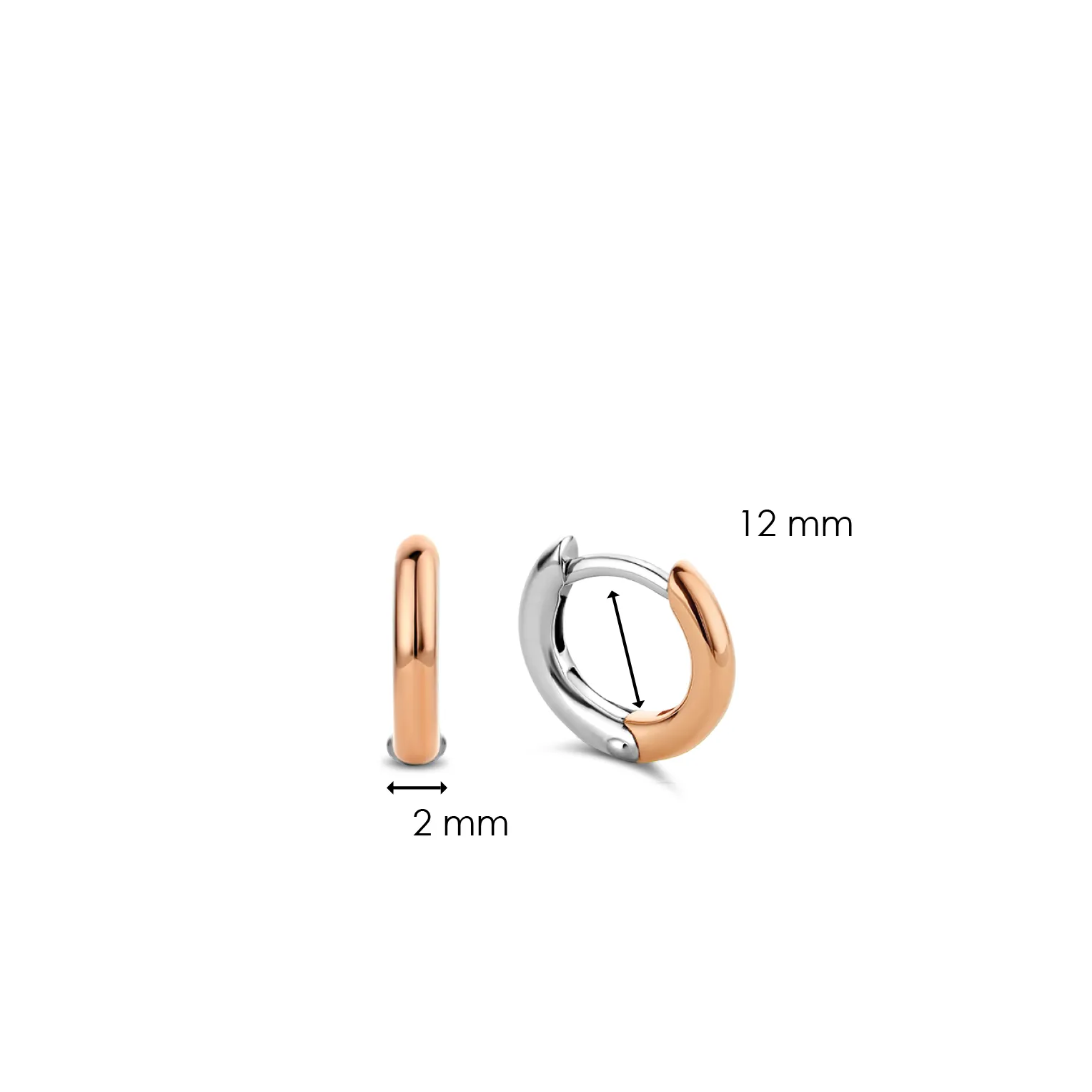 TI SENTO Earrings 7811SR